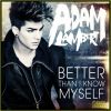 Download track Better Than I Know Myself