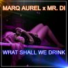 Download track What Shall We Drink (Handsup Mix)