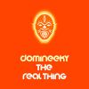 Download track The Real Thing (Good Voodoo Dub)