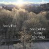 Download track Song Of The Sunny Mornings