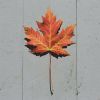 Download track A Clock Made With Autumn Leaves