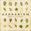 Download track Herbarium Intro