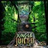 Download track Rudeboy Jungle