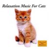 Download track Outdoor Cat Indoor Behavior