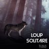 Download track Loup Solitaire