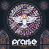 Download track Praise (Instrumental Mix)