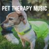 Download track Our Pets Deserve A Healthy Lifestyle