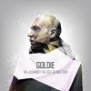 Download track The Calling (Goldie Remix)