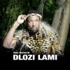 Download track Dlozi Lami