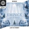 Download track Lost In Forest (Original Mix)