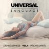 Download track Universal Love