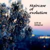 Download track Staircase Of Evolution