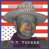 Download track Redneck Whitetrash Blues (Radio Edit)