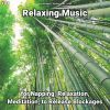 Download track Relaxing Music, Pt. 11