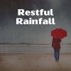 Download track Gentle And Soothing Rain, Pt. 20