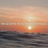 Download track Meditation Essentials