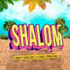 Download track Shalom (DJ Chick Remix)