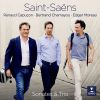 Download track Saint-Saëns: Piano Trio No. 2 In E Minor, Op. 92: V. Allegro