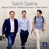 Download track Saint-Saëns: Violin Sonata No. 1 In D Minor, Op. 75: II. Allegro Molto