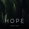 Download track Never Lose Hope (Instrumental)