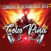 Download track Cumbia Campanera