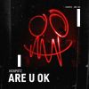 Download track Are U Ok (Extended Mix)