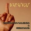 Download track Vafancu'