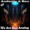 Download track Audacity & Bass