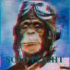 Download track Intergalactic Monkey