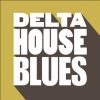 Download track Delta House Blues (Original Mix)
