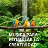 Download track Creatividad Y Música Como Terapia