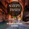 Download track Windy Canyon Echoes, Pt. 5