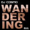 Download track Wandering (Classic Short Edit)