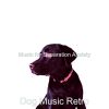 Download track High Class Resting Dogs