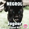 Download track Jaguar