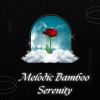 Download track Silent Serenity