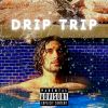 Download track Drip Trip (TikTok Version)