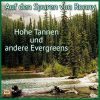 Download track Das Gesetz Des Westens