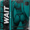 Download track Wait (Slowed)