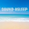 Download track Calming Sea Shore Waves Ambience, Pt. 20