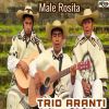 Download track Male Rosita