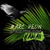 Download track Hawaii (B&S Concept Remix)