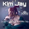 Download track I Can't Make You Love Me (Jerry C. King Mix)