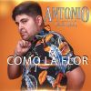 Download track Ambición De Quererte