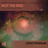 Download track Not The End (Niko Zografos Remix)