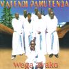 Download track Wega Zvako