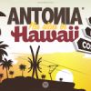 Download track Nu Stau In Hawaii (Radio Edit)