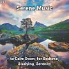 Download track Serene Music, Pt. 41