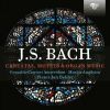 Download track Cantata Schau, Lieber Gott, Wie Meiner Feind, BWV 153 IX. Choral Drum Will Ich, Weil Ich Lebe Noch