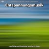 Download track Entspannungsmusik Teil 88